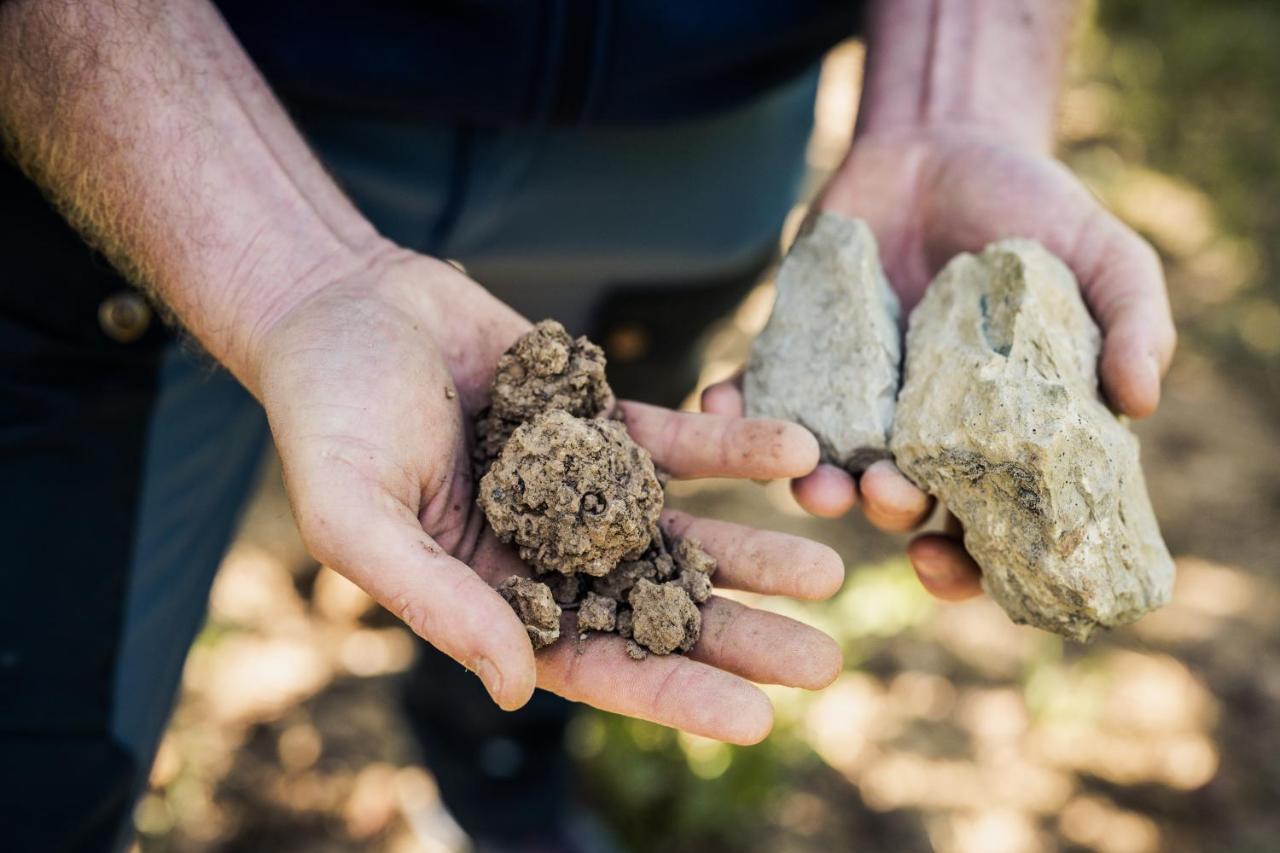 ניטל Weingut Und Gaestehaus Apel מראה חיצוני תמונה