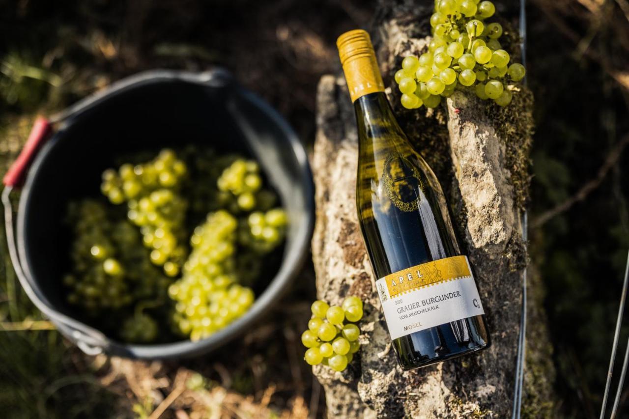 ניטל Weingut Und Gaestehaus Apel מראה חיצוני תמונה