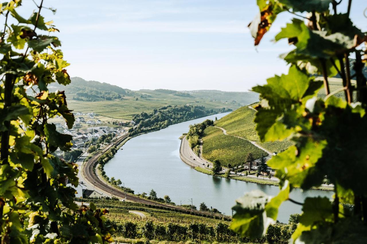 ניטל Weingut Und Gaestehaus Apel מראה חיצוני תמונה