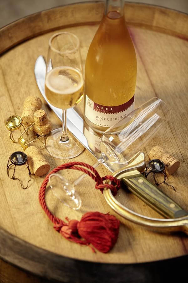 ניטל Weingut Und Gaestehaus Apel מראה חיצוני תמונה